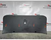 Облицовка крышки багажника центральная Tesla Model X, 1037899-50-G