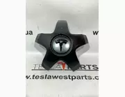 Заглушка колісного диска Tesla Model X Plaid, 1420238-00-A